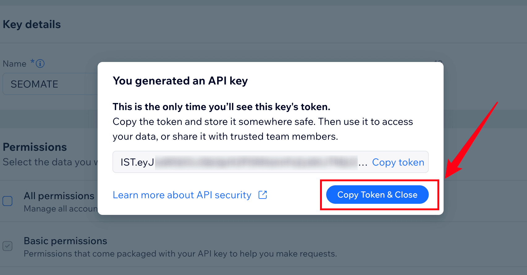 Copy API Key